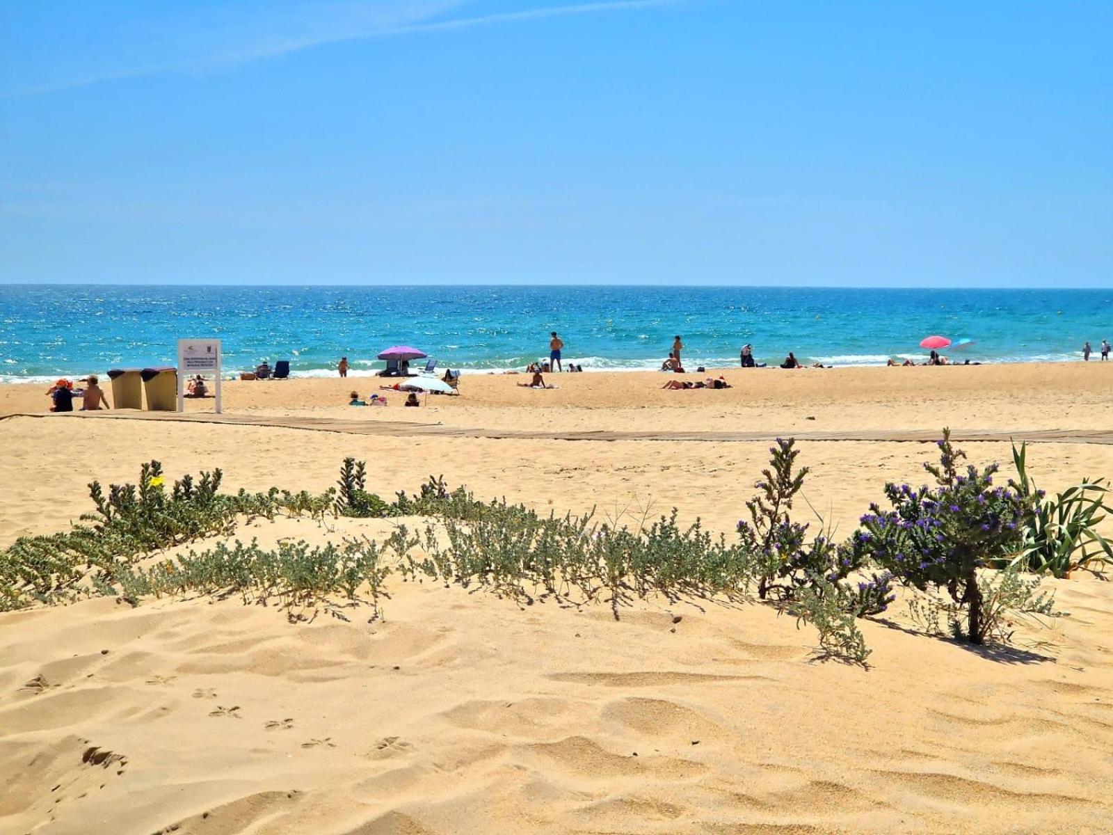 Appartement La Almadraba Chiclana de la Frontera